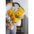 泰迪熊向日葵畢業花束_1 泰迪熊向日葵畢業花束_1