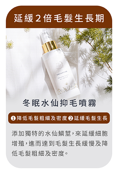 冬眠水仙抑毛噴霧