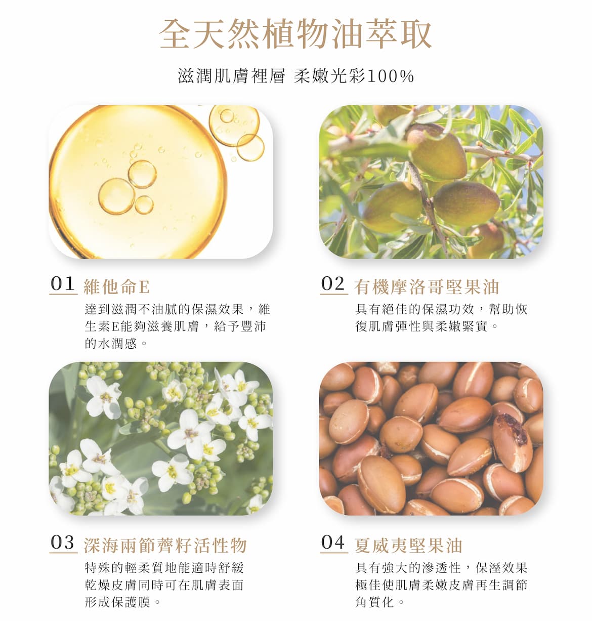 維他命E呵護調理油關鍵配方