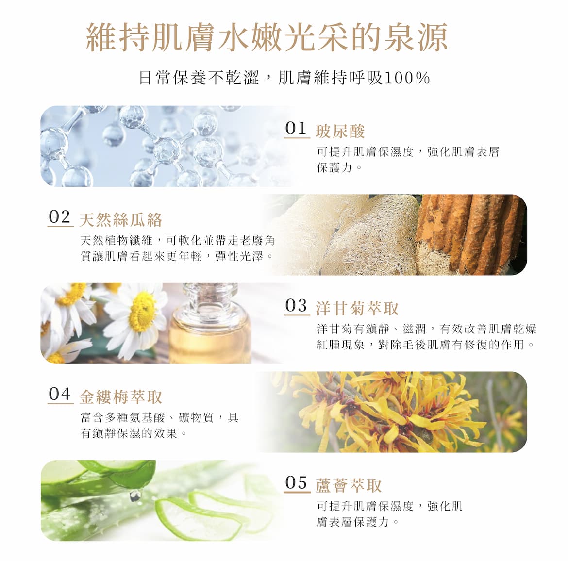 玻尿酸淨緻去角質凝霜成分