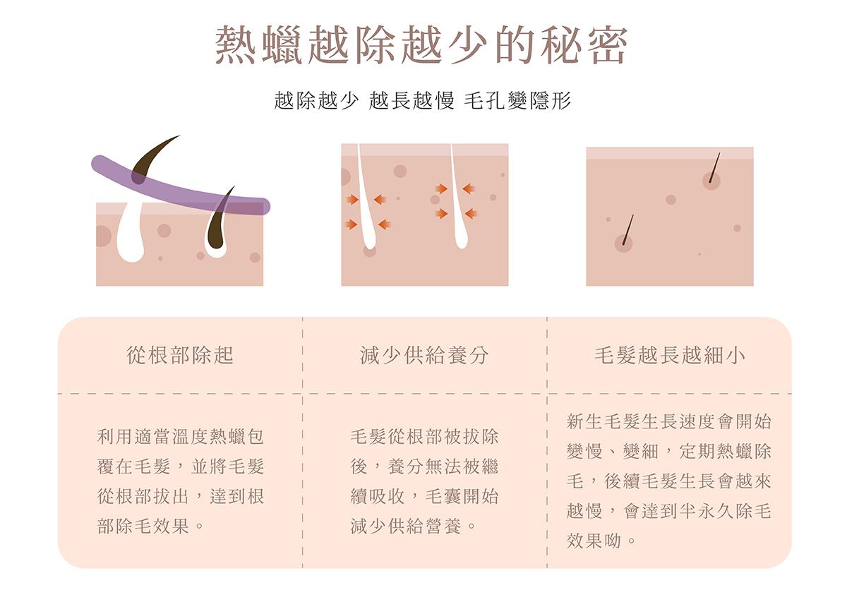 熱蠟越除越少的秘密