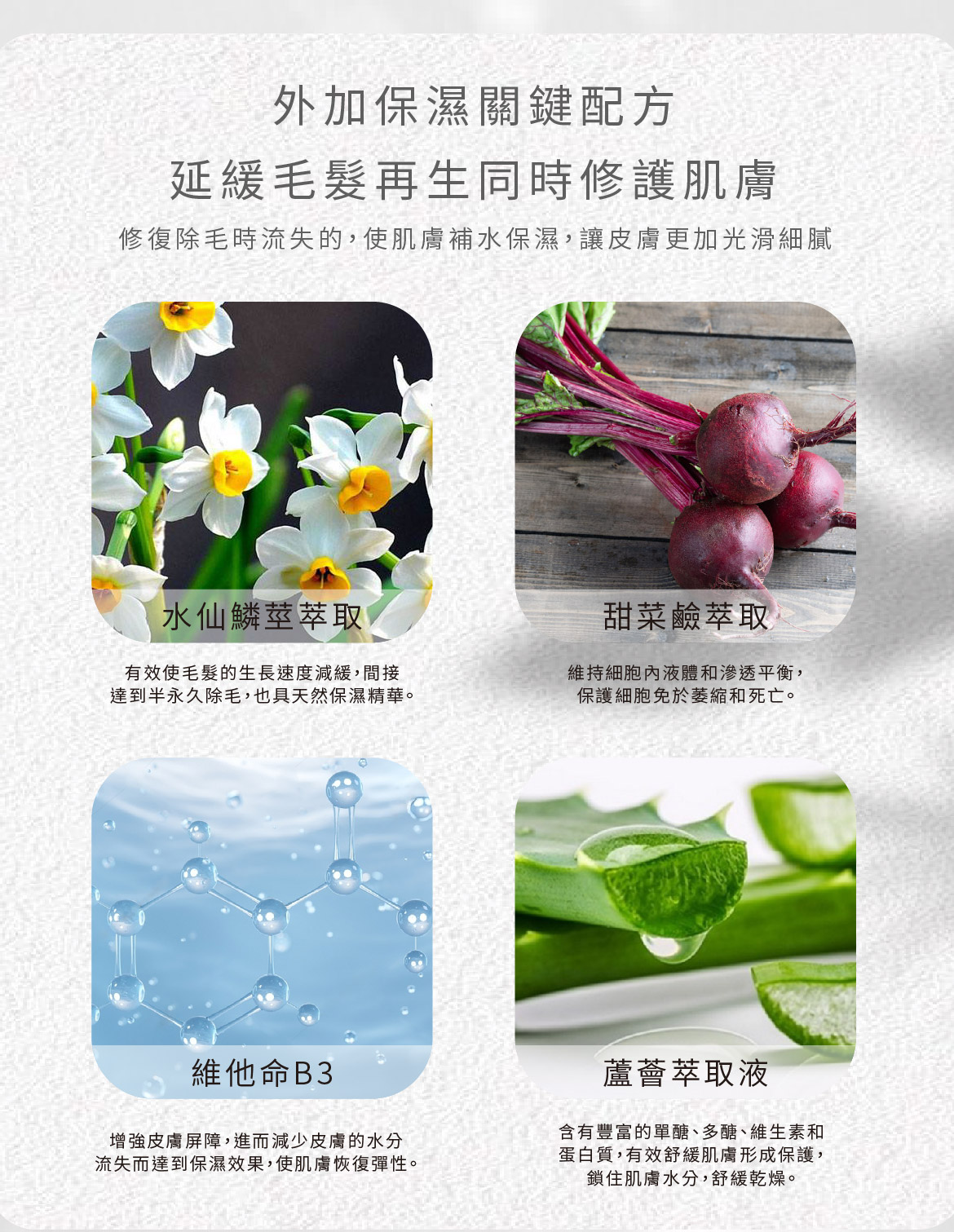 冬眠水仙關鍵配方