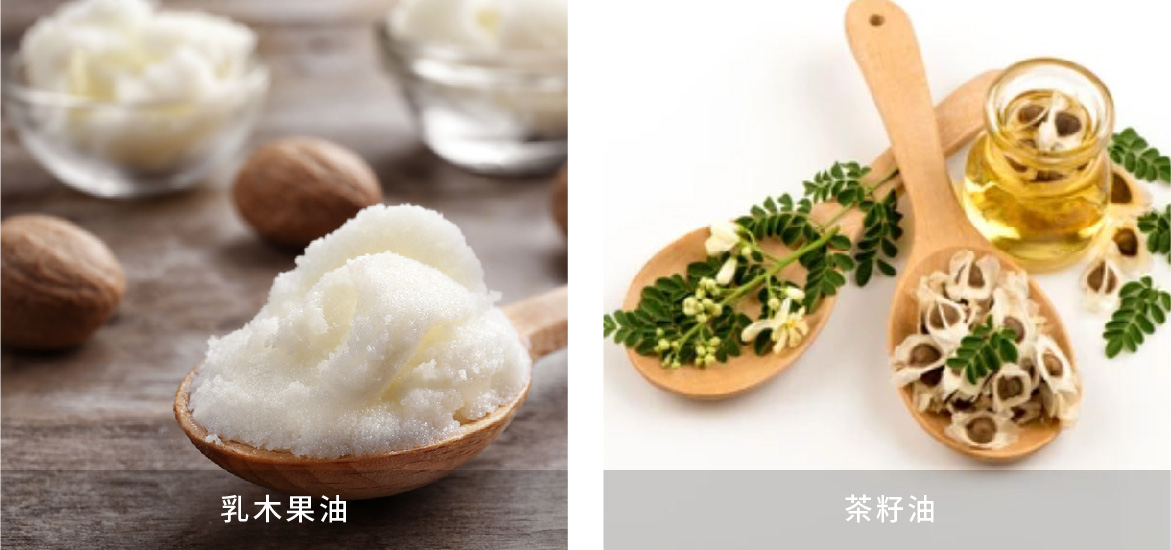改良硬蠟的成分「乳木果油及茶籽油」