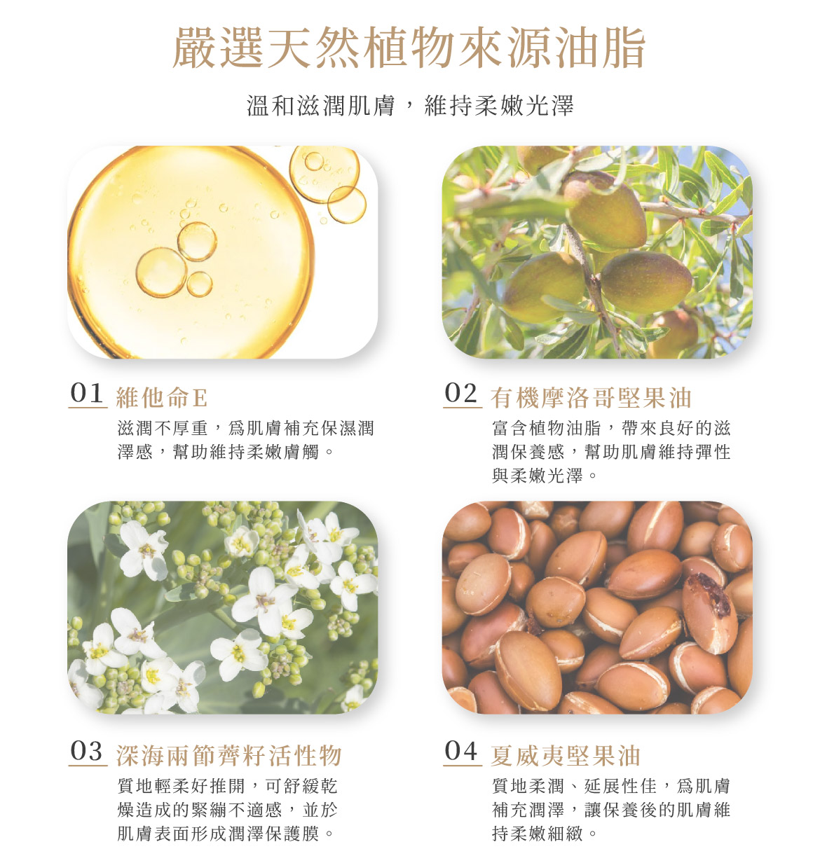 維他命E呵護調理油成分
