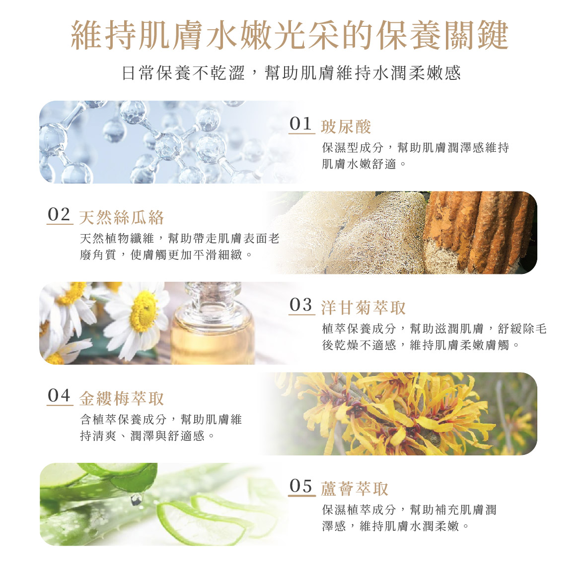玻尿酸淨緻去角質凝霜成分