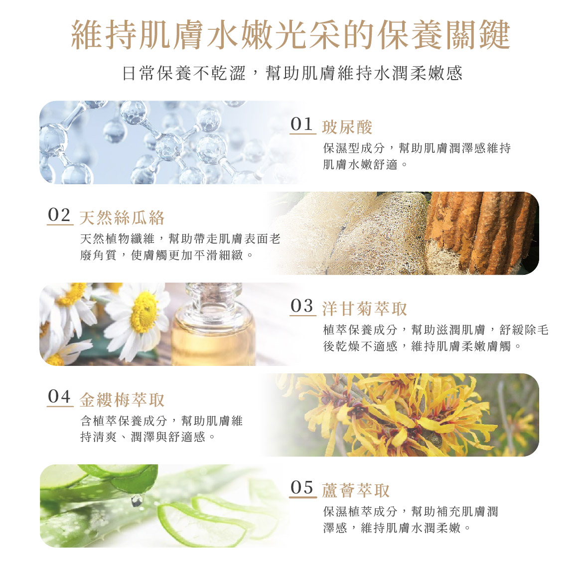 玻尿酸淨緻去角質凝霜關鍵配方
