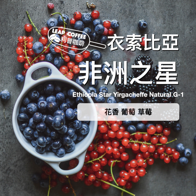 衣索比亞 非洲之星