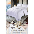 【Hilton希爾頓】植物系天然纖維胺基酸薄被1.3kg_5 【Hilton希爾頓】植物系天然纖維胺基酸薄被1.3kg_5