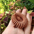 雙股華環盾_4 雙股華環盾_4