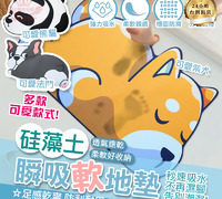 【硅藻土地墊】