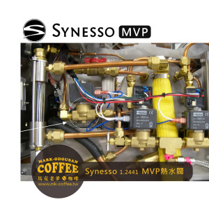 SYNESSO咖啡機零件parts 1.2441-MVP熱水閥Hot Water Valve SYNESSO咖啡機零件parts 1.2441-MVP熱水閥Hot Water Valve