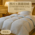 西川羽絨被(日本製)-霧光淺藍 英國羽絨85% 0.4kg 可水洗 (150×210cm) 西川羽絨被(日本製)-霧光淺藍 英國羽絨85% 0.4kg 可水洗 (150×210cm)