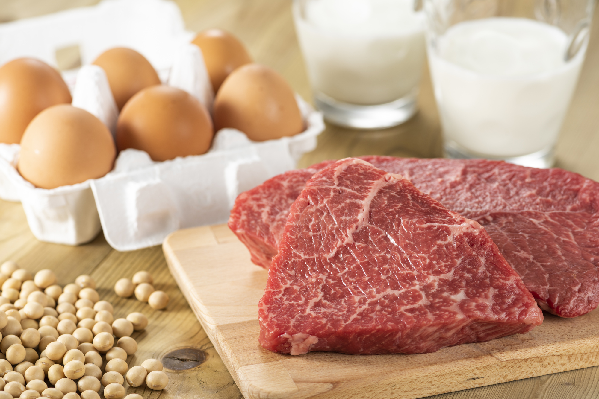 蛋白質含量高的食物