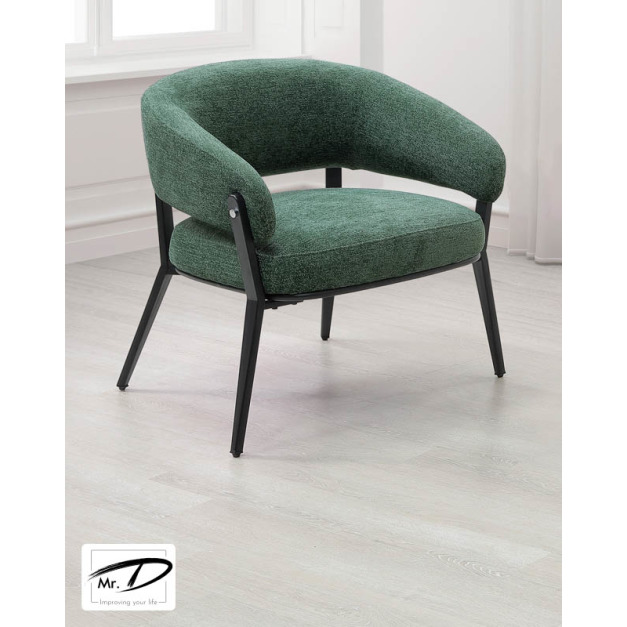 B1069 228-03 尚恩休閒椅 (綠) B1069 228-03 尚恩休閒椅 (綠)