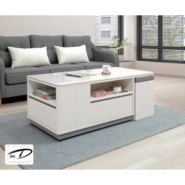 B1236 298-02 奎格岩板大茶几 B1236 298-02 奎格岩板大茶几