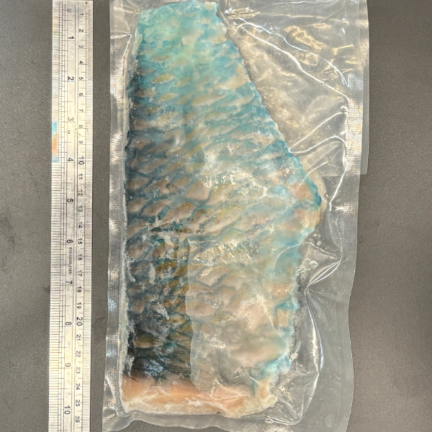 青衣(鸚哥)魚清肉-300g 青衣(鸚哥)魚清肉-300g