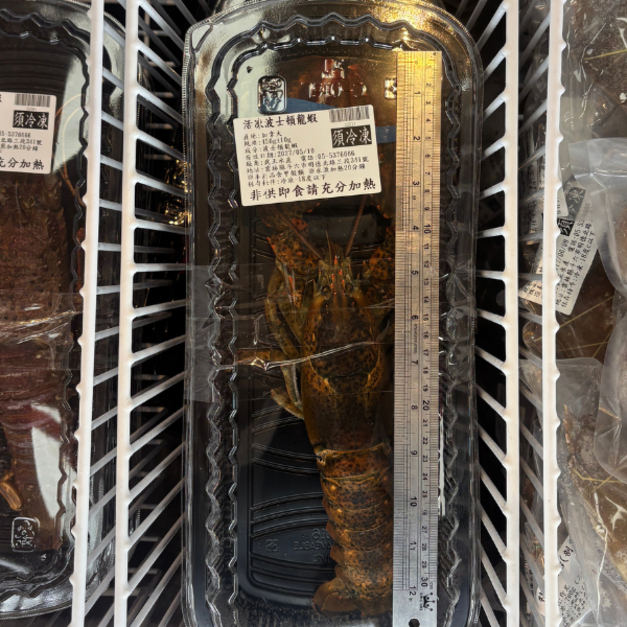 活凍波士頓龍蝦-450g #高級饗宴首選 活凍波士頓龍蝦-450g #高級饗宴首選