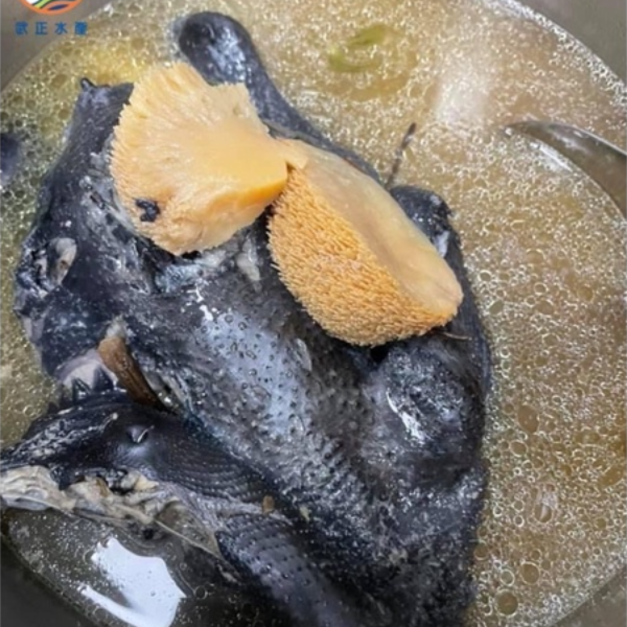 猴頭菇養生雞-2kg 猴頭菇養生雞-2kg