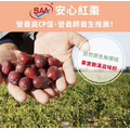 【中醫養生-紅棗】安心無農藥、食品添加物_1 【中醫養生-紅棗】安心無農藥、食品添加物_1