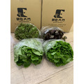【低溫免運】無毒水耕生菜箱(規格:2-3人|家庭箱)_3 【低溫免運】無毒水耕生菜箱(規格:2-3人|家庭箱)_3