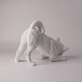 柴犬燈_5 柴犬燈_5