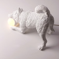 柴犬燈_10 柴犬燈_10