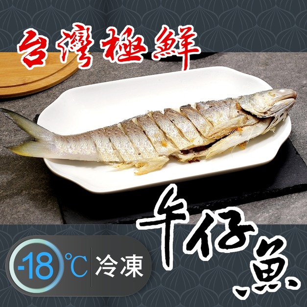 新鮮大尾特選台灣極鮮午仔魚推薦(三去處理) 450g! 新鮮大尾特選台灣極鮮午仔魚推薦(三去處理) 450g!