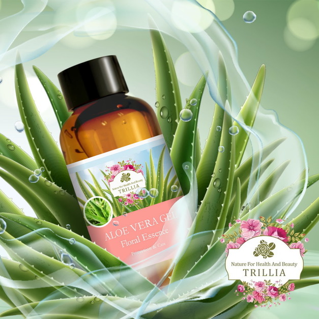 絕佳功效無刺激超高回購率的 Trillia 庫拉索蘆薈原液推薦 絕佳功效無刺激超高回購率的 Trillia 庫拉索蘆薈原液推薦