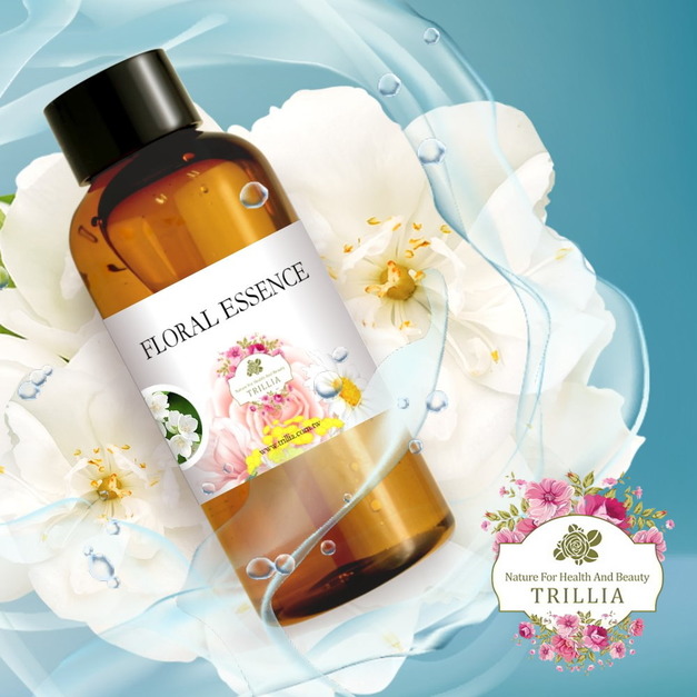 花香濃郁動人,女性平衡調理,增進情趣 Trillia 茉莉花純露推薦 花香濃郁動人,女性平衡調理,增進情趣 Trillia 茉莉花純露推薦
