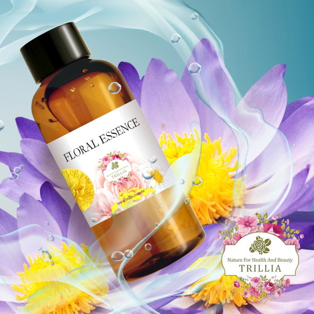 肌膚調理改善,天然保濕的最佳聖品 Trillia 藍蓮花純露推薦 肌膚調理改善,天然保濕的最佳聖品 Trillia 藍蓮花純露推薦