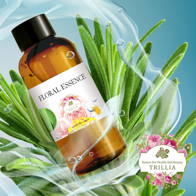 護髮護膚、肌膚調理超好用 Trillia 迷迭香純露推薦 護髮護膚、肌膚調理超好用 Trillia 迷迭香純露推薦