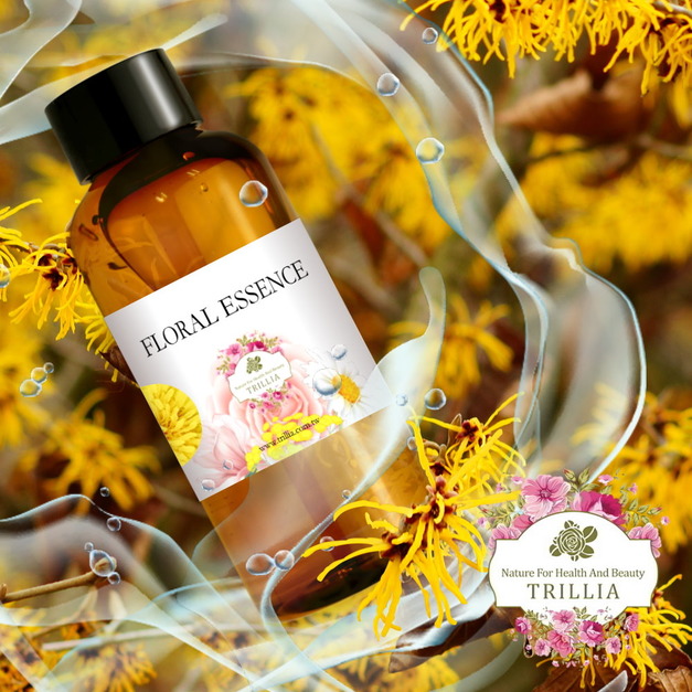 肌膚緊緻,收斂毛孔的絕佳選擇 Trillia 金縷梅純露推薦 肌膚緊緻,收斂毛孔的絕佳選擇 Trillia 金縷梅純露推薦