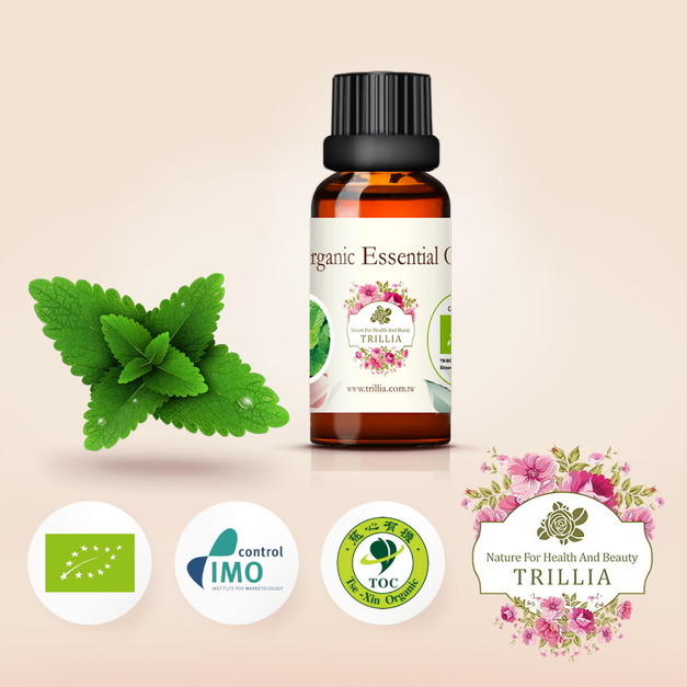 特別優雅清新香甜 Trillia 有機綠薄荷精油推薦 30ml 特別優雅清新香甜 Trillia 有機綠薄荷精油推薦 30ml