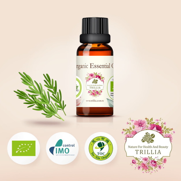 香味純正,功效超強好用 Trillia 有機迷迭香精油推薦 30ml 香味純正,功效超強好用 Trillia 有機迷迭香精油推薦 30ml