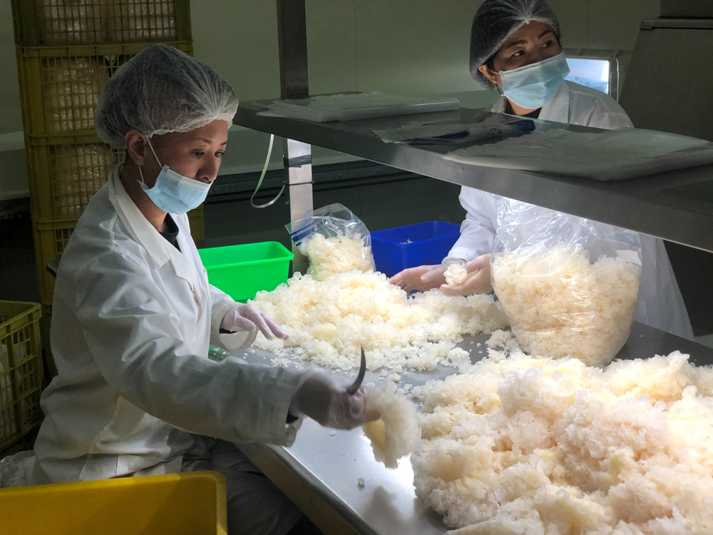 谷溜谷溜白木耳 亞大t8銀耳