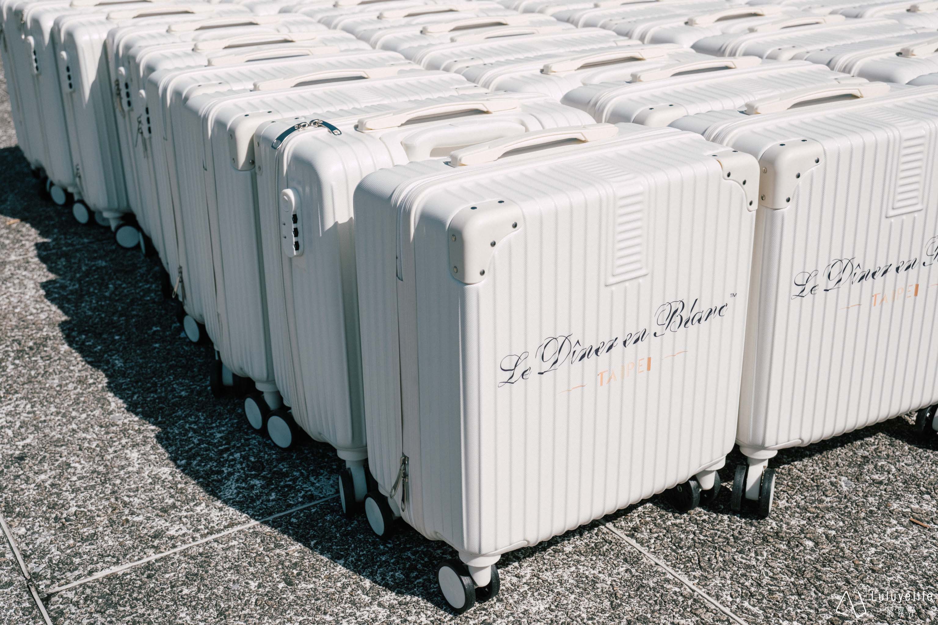 2023白色國際野餐節谷溜共同響應