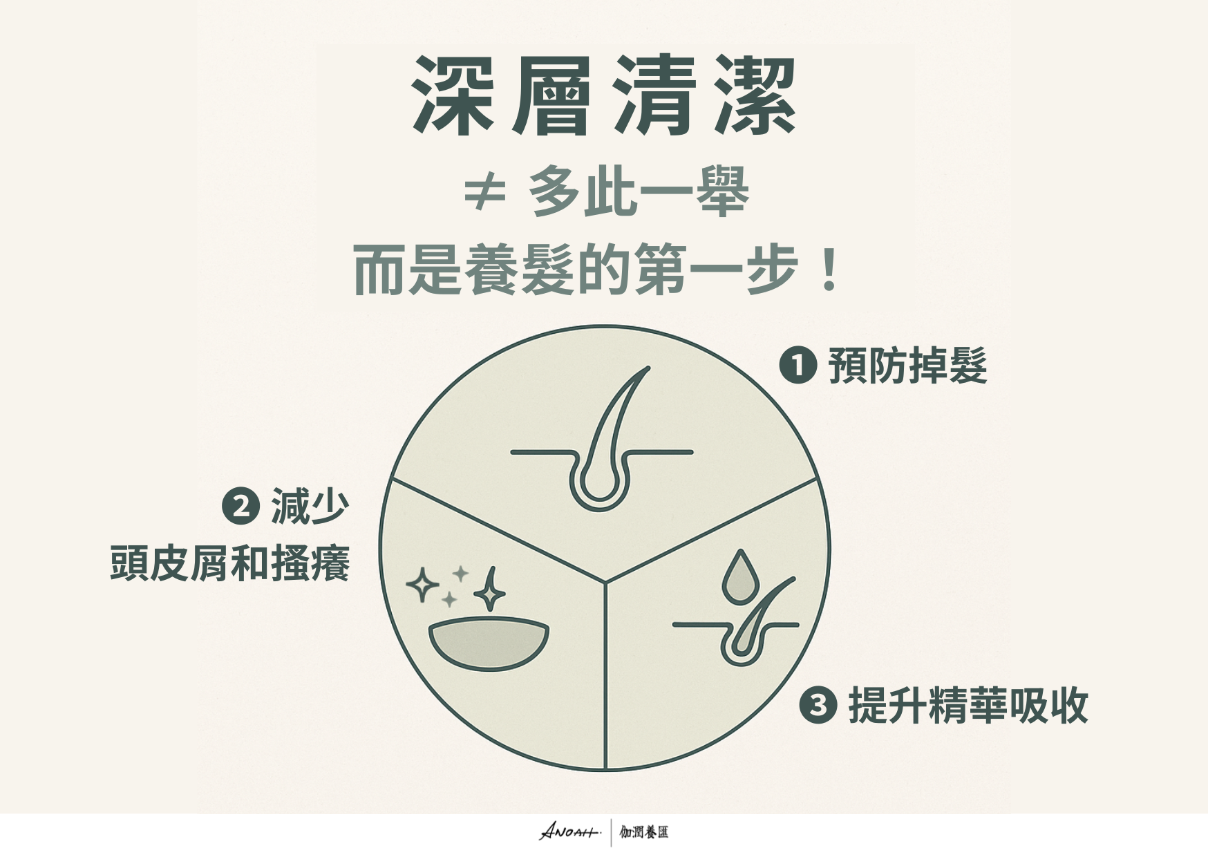 左右對照圖。左側:毛孔堵塞示意圖,有油脂栓塞、細菌孳生,頭皮泛紅,文字「洗髮精只能清表層 → 毛孔依然堵塞」。右側:清潔後毛孔暢通健康,髮根牢固,文字「毛囊清淨液深層清潔 → 毛孔暢通更健康」。