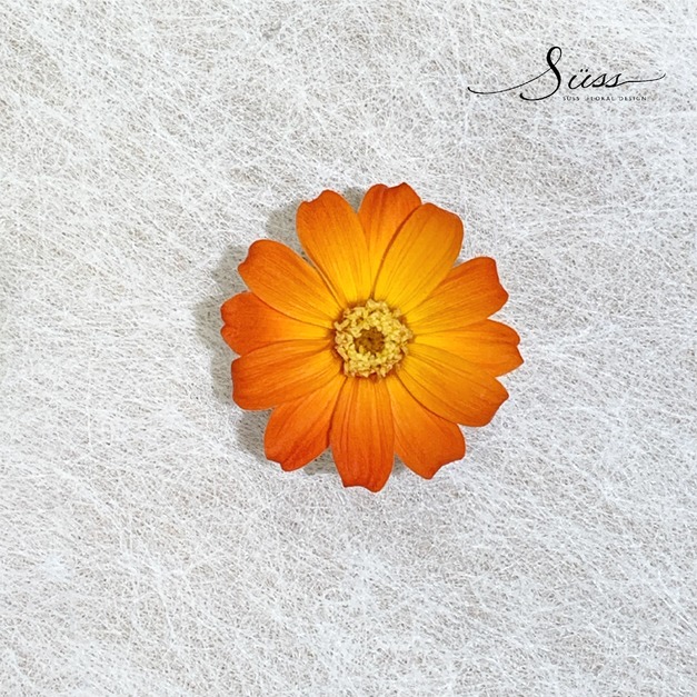 漸層橘色(白包裝)