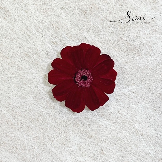 紅色(淺粉包裝)