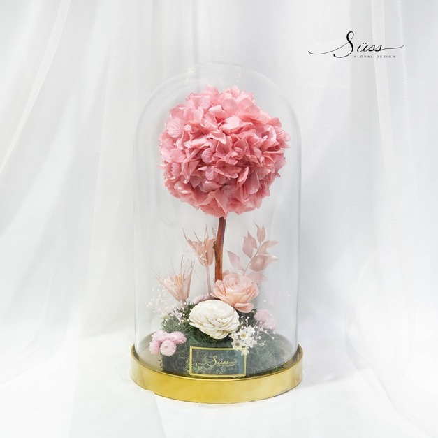 SÜSS 永恆繡球樹罩鐘系列 SÜSS 永恆繡球樹罩鐘系列