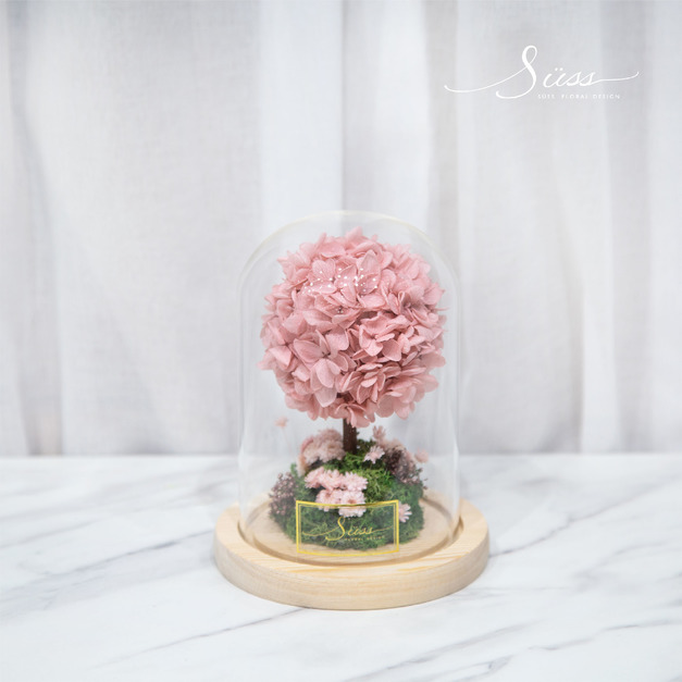 SÜSS 永恆繡球樹罩鐘系列 SÜSS 永恆繡球樹罩鐘系列