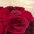 SÜSS 永恆紅玫瑰經典花束_1 SÜSS 永恆紅玫瑰經典花束_1