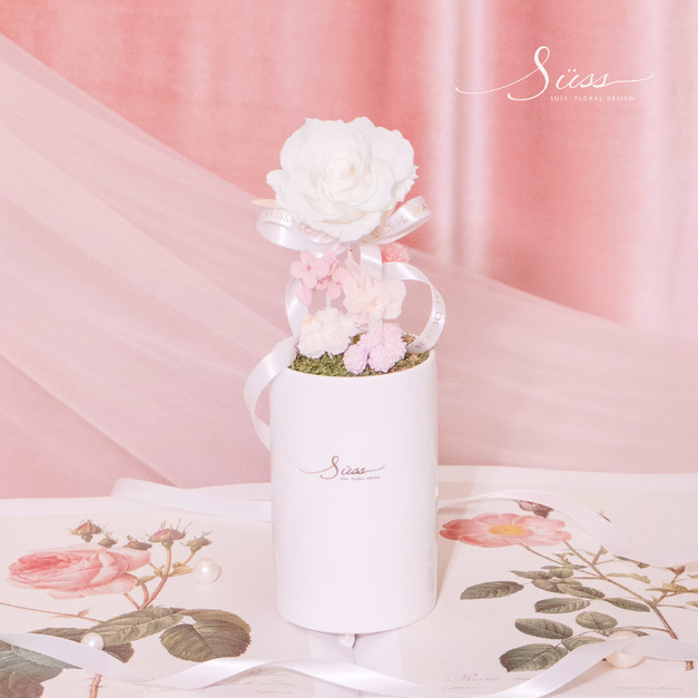 SÜSS 微光序曲 永生盆花 SÜSS 微光序曲 永生盆花