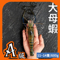 大母蝦1斤約11~14隻 大母蝦1斤約11~14隻