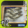 6P活凍草蝦 6P活凍草蝦