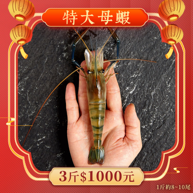 特大母蝦【新年最強優惠】 3斤1000元 1斤約8~10隻 特大母蝦【新年最強優惠】 3斤1000元 1斤約8~10隻