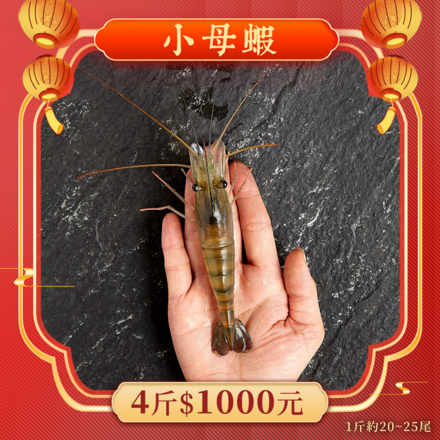 小母蝦【新年最強優惠】 4斤1000元 1斤約20~25隻 小母蝦【新年最強優惠】 4斤1000元 1斤約20~25隻
