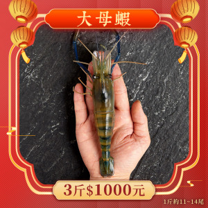 大母蝦【新年最強優惠】 3斤1000元 1斤約11~14隻 大母蝦【新年最強優惠】 3斤1000元 1斤約11~14隻