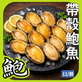 帶殼鮑魚 帶殼鮑魚
