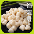 海灣貝(珠貝) 海灣貝(珠貝)